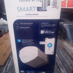 smart garage door system 