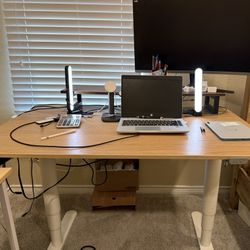 IKEA Electric Sit Stand Desk