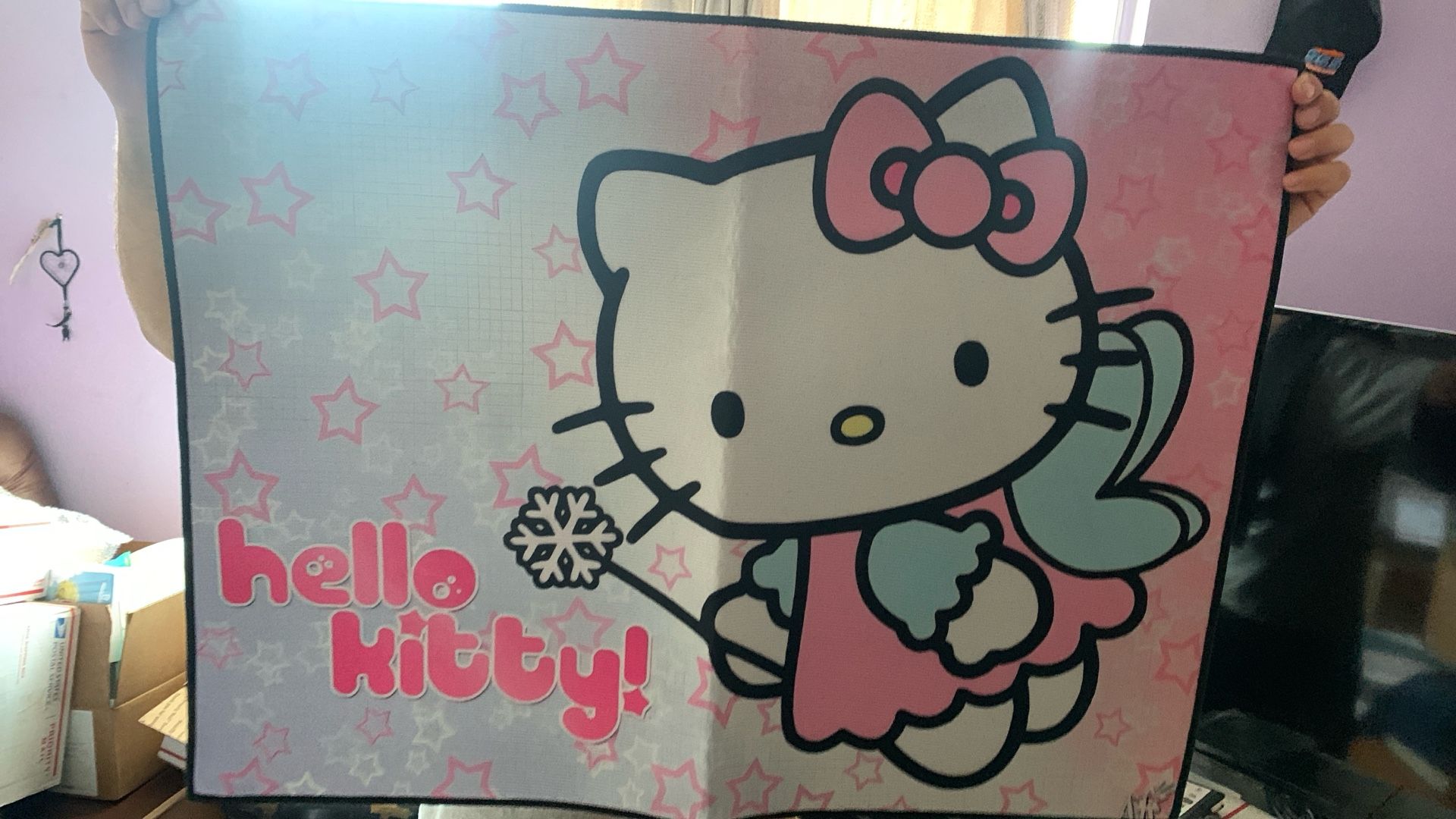 Hello Kitty Carpet