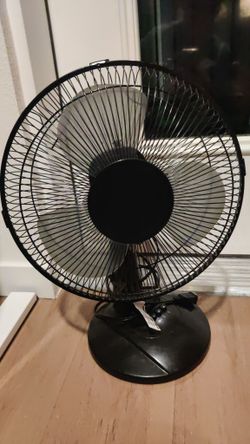 Fan
