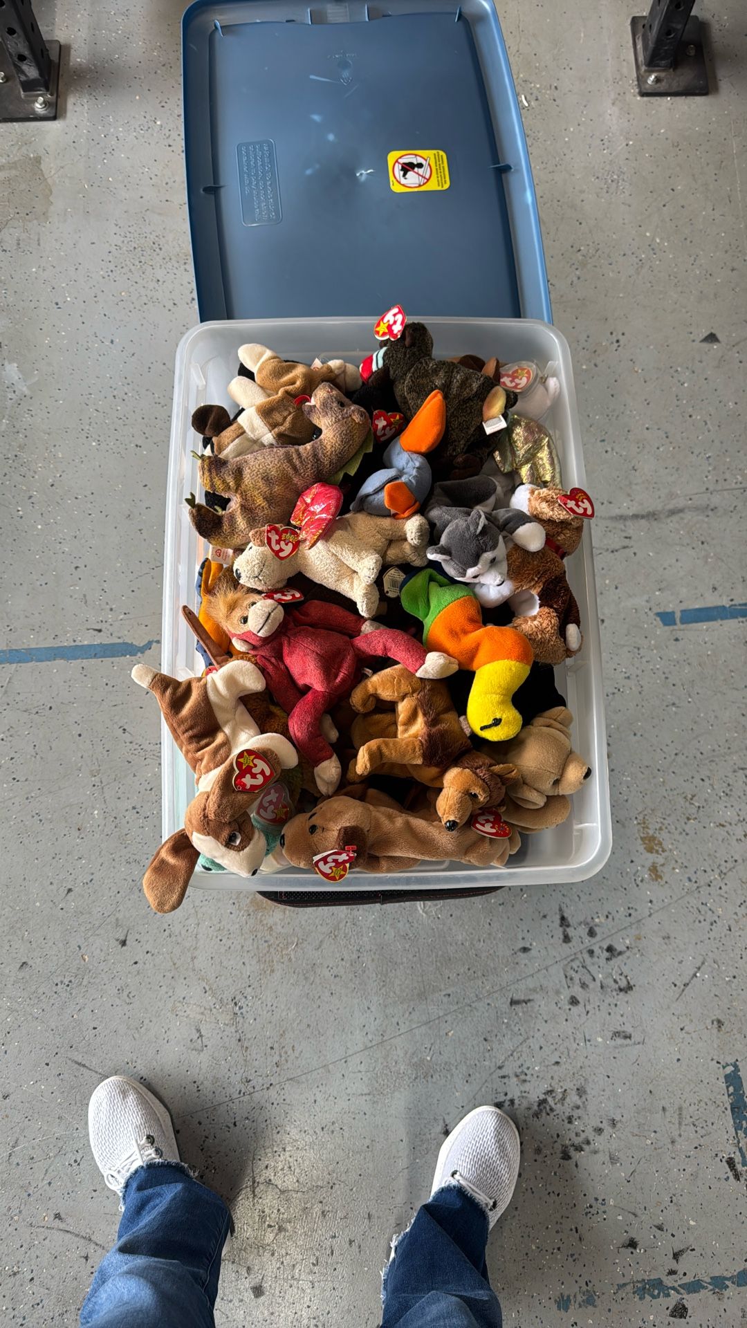 Beanie Babies