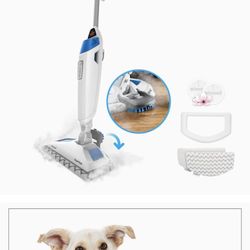 Bissell Steamer Mop