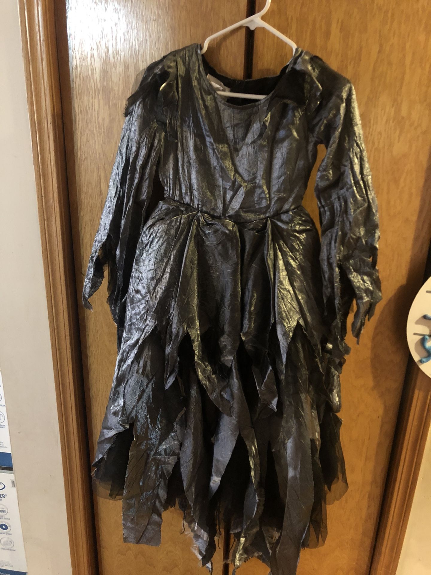 Chasing Fireflies Witch Costume