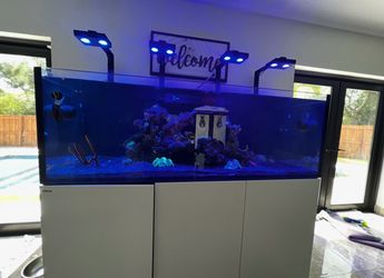 Red Sea Reefer 750 XXL