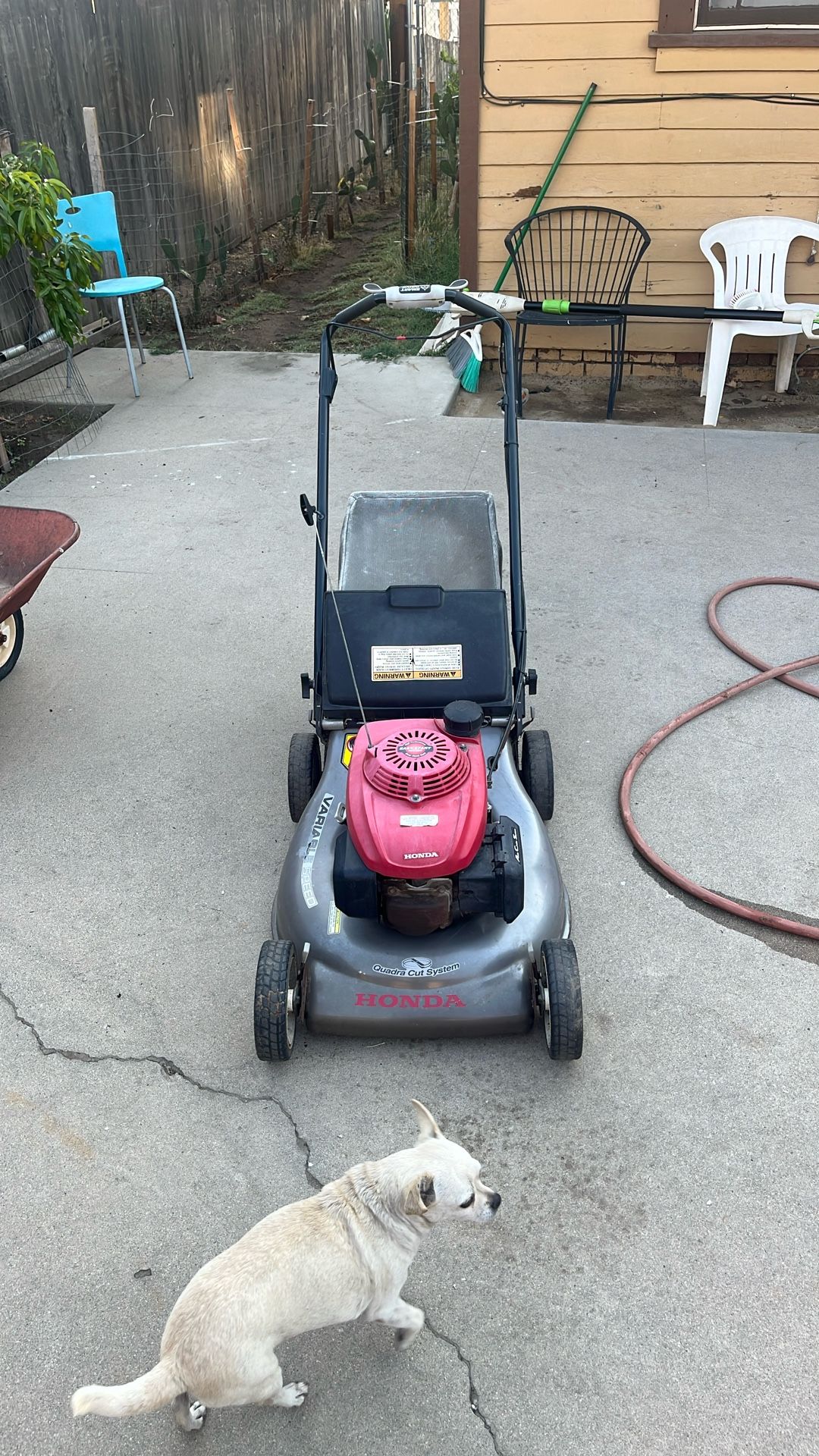 Honda Mower