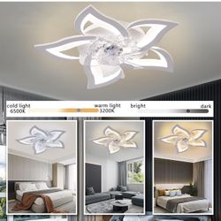 Ceiling Fun. White And Black 