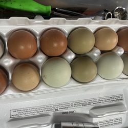 Fresh eggs from my backyard chickens