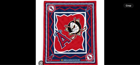 Angel x ducks blanket