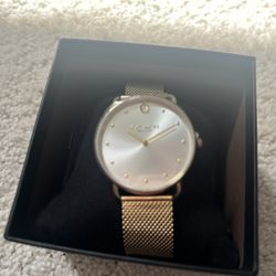 Coach Watch New