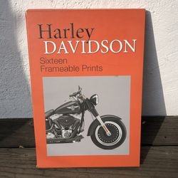 Harley Davidson 16 Art Prints Posters 1(contact info removed) Box 15"x10" Collectors Gift Idea (Silver Lake)