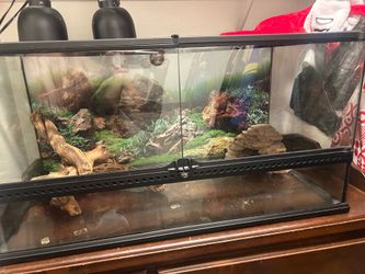 40 gal reptile tank