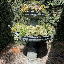 Water Fountain With Succulents 