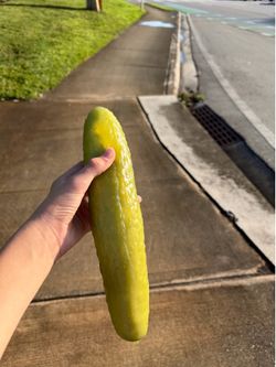squishy toy