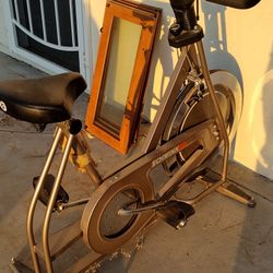 Schwinn Exercise Bike