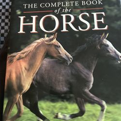 Horse Picture Books