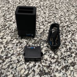 Go Pro Dual Charging Station With Battery