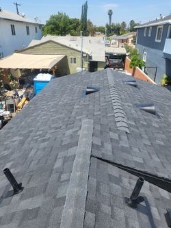 Shingle 