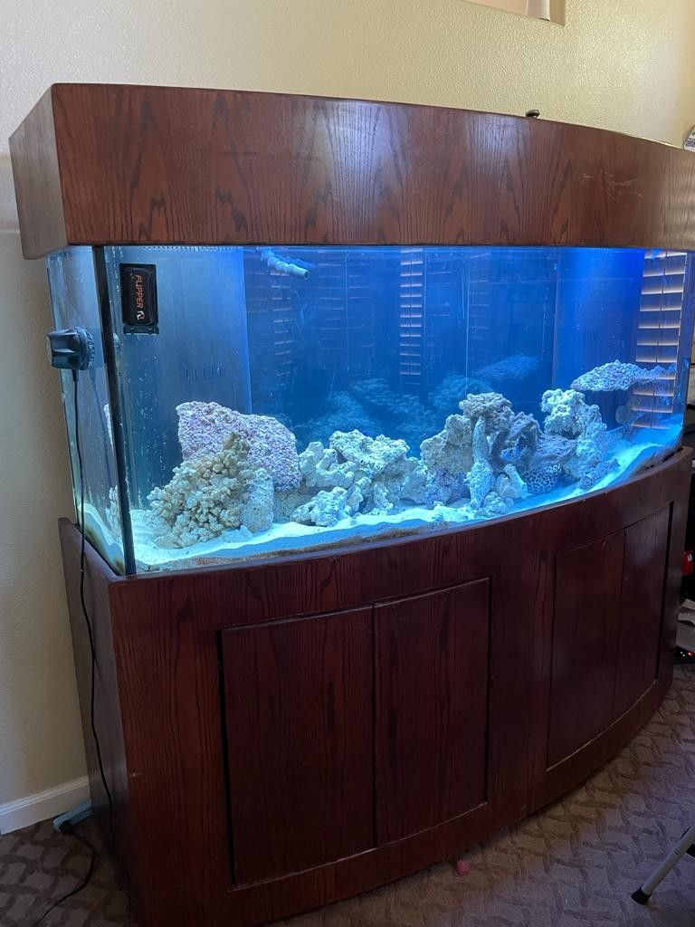 Picture of A 180 gallon bow front Tank. Matching stand And canopy. for Sale in ...