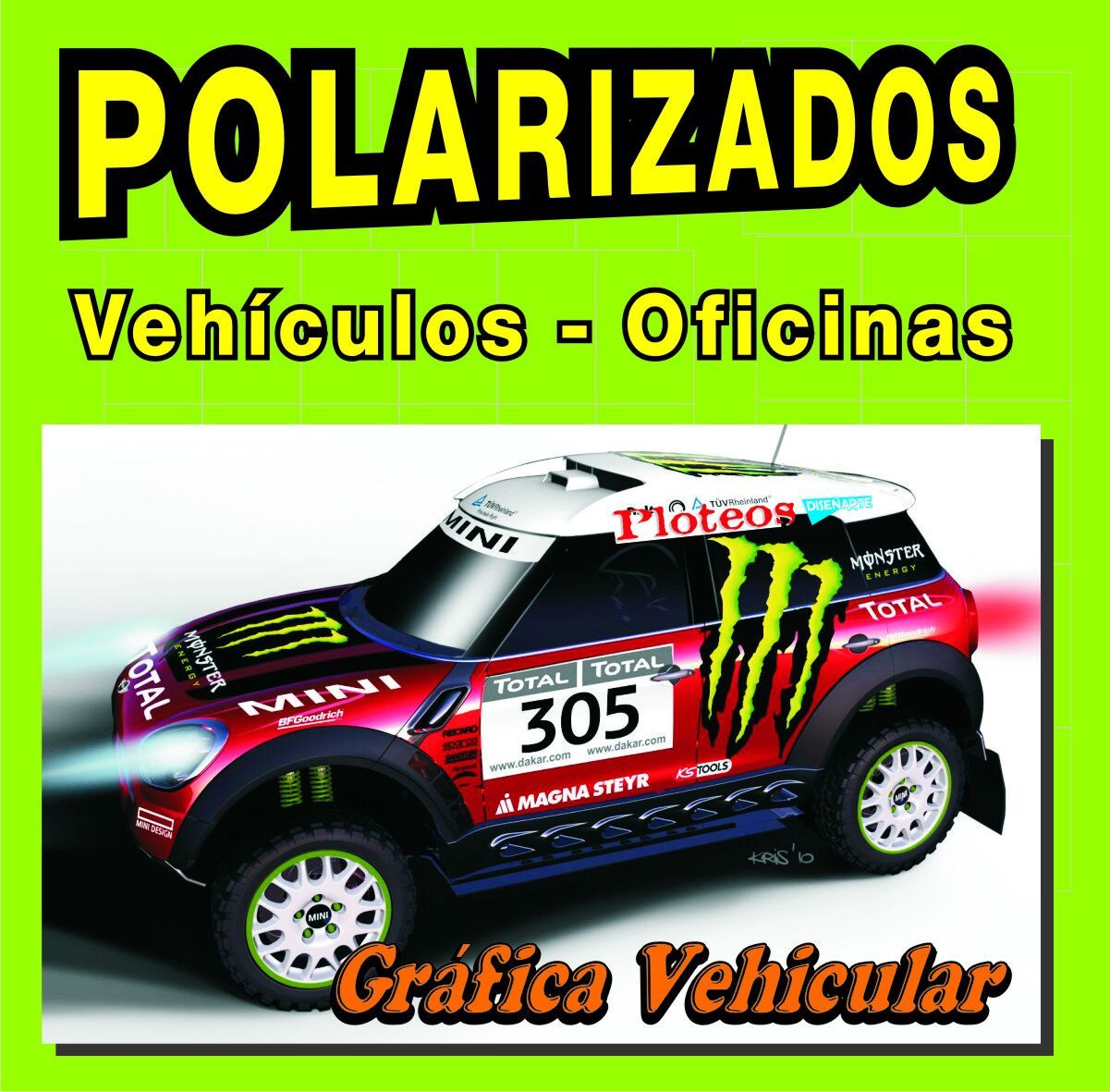 Polarisados