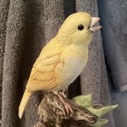 Music Box (Canary) Figurine 