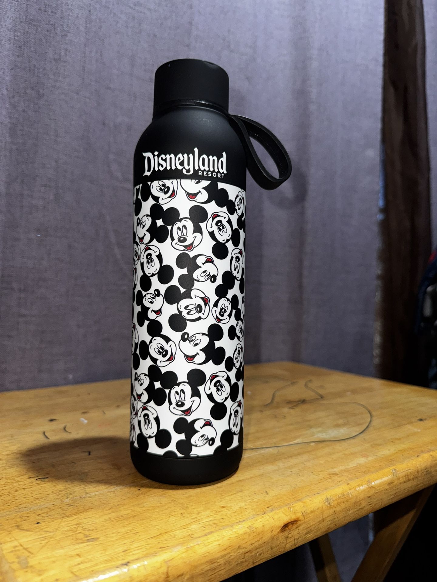 Disneyland Water Bottle