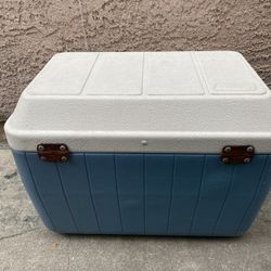 Pet Cooler