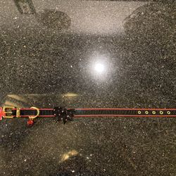 HOLIDAY COLLAR FOR DOGS, SMALL (NECK SIZE 15”)