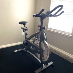 Sunny Exercise Bike