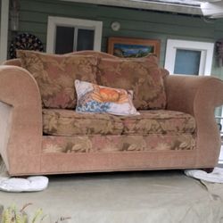 Love Seat Sofa / Foldout Twin Bed 