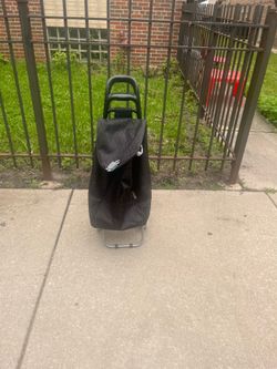 Shopping Cart with Bag