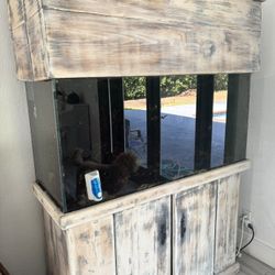 Fish Tank 
