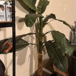 Fake Cute Palm Tree Plant