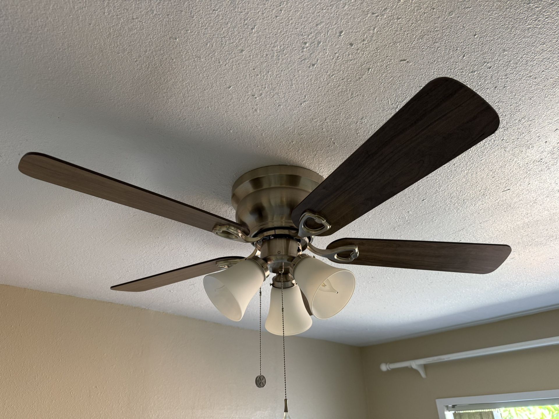Ceiling Fan with Lights