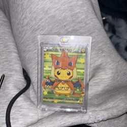 Poncho pika