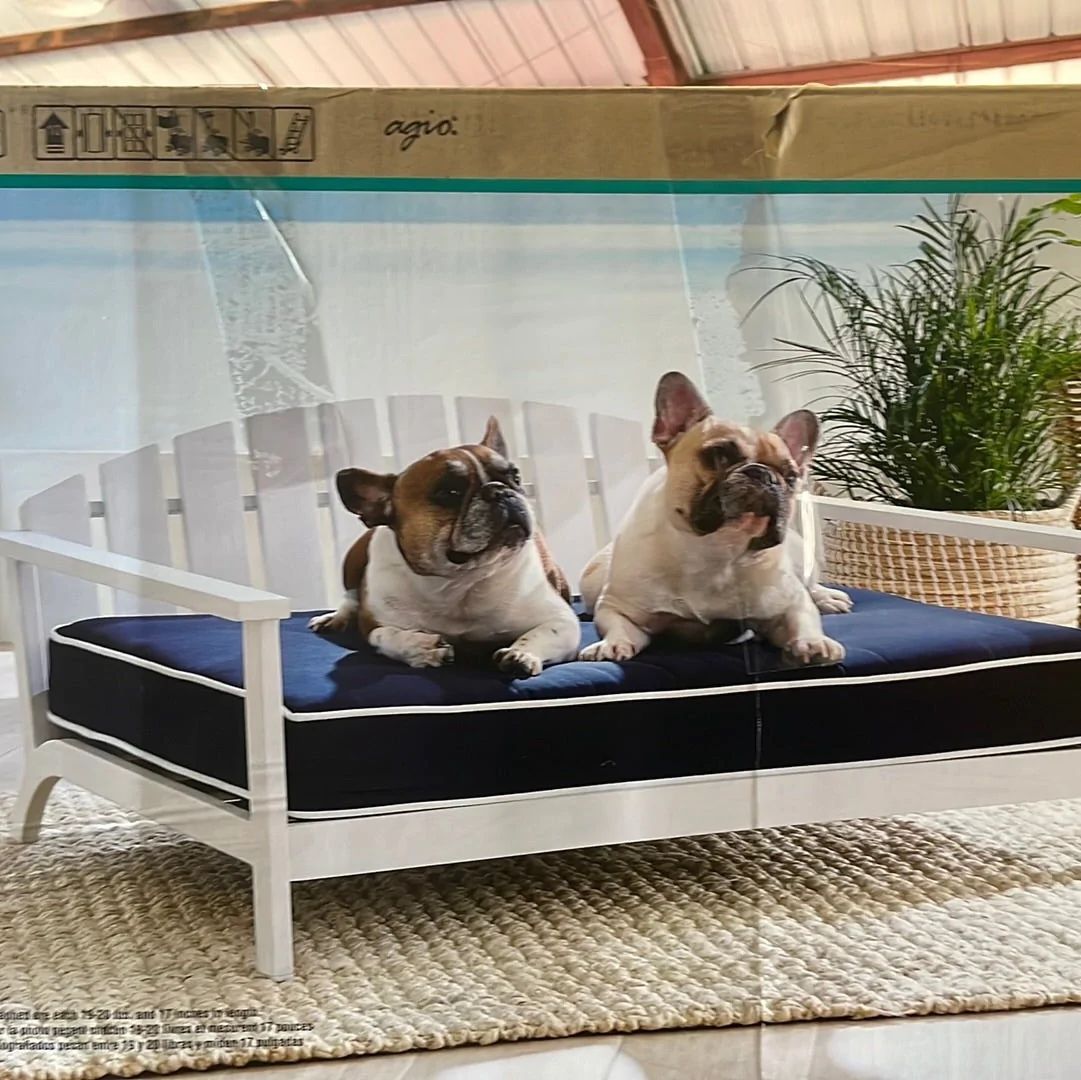 Sunbrella pet bed 🔥👌🏼🔥