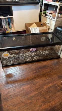 20 gallon reptile tank