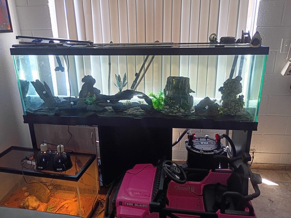 Fish Tank And Stand