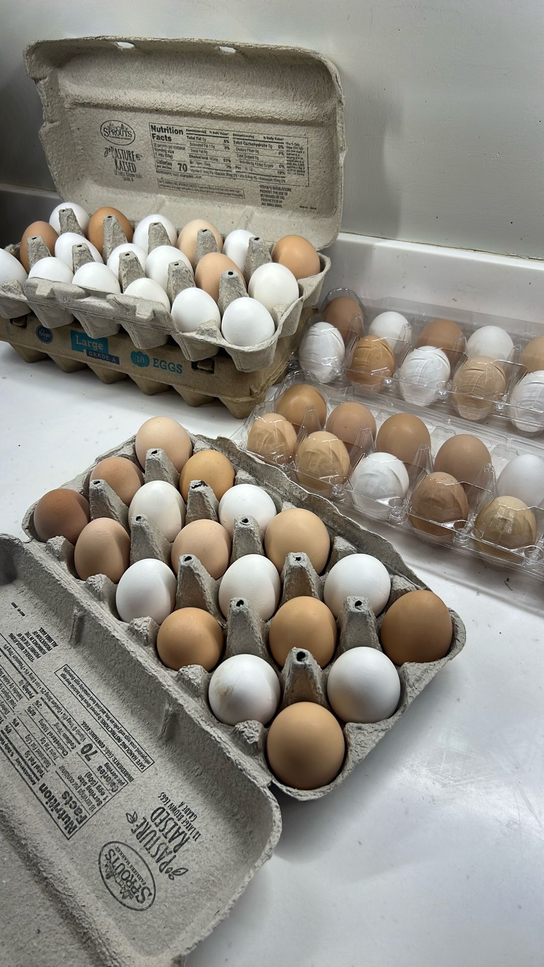 Eggs