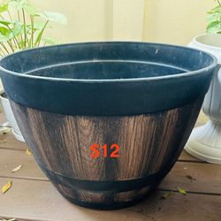 Outdoor Plant Pots 