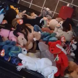 286 Beanie Babies 