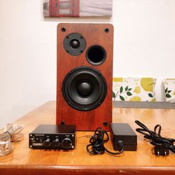 Bookshelf Speaker + Bluetooth Amplifier / Aux 