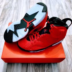 Jordan 6 Toro 