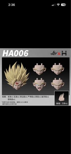 SH Figuarts Dragon Ball Z AIR x HM Studio Gohan Super Saiyan 2 Head AH006 NEW