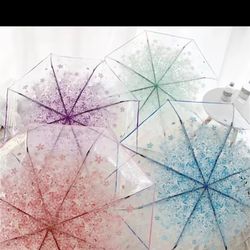 Let It Rain, Blossom in Style!