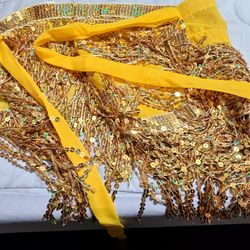 Belly Dancer Belt