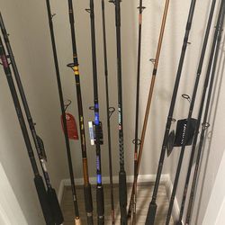 Spinning Rods And Casting Rods