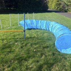 Dog Agility Set