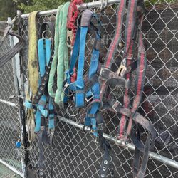 Tree Cutting Safety Gear