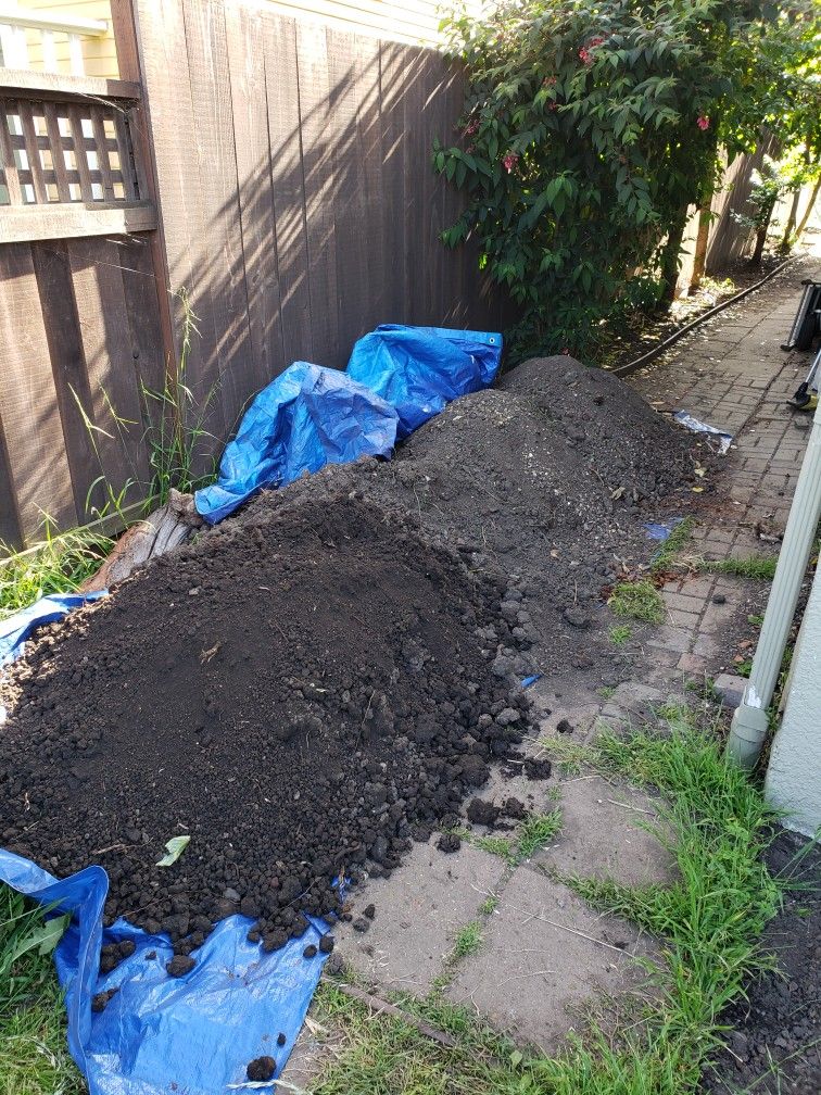 DIRT - FREE - East Bay - Oakland -