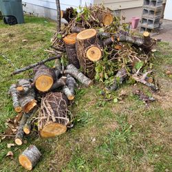 Free wood